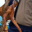 유촌2호 이미지