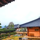 국화마을펜션 이미지
