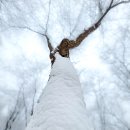 대룡산주유소 이미지