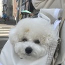 서이천골프클럽 이미지