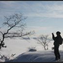 단비농장 이미지