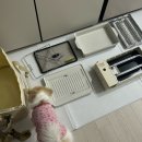 캠핑서포트 | 지라프 구이바다 M _캠핑버너 사용 후기, 캠핑가서 가리비구이, 새우구이 해먹기!