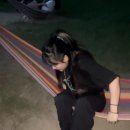 탑스텐동강리조트
