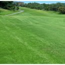 순천다도해 이미지