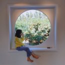 남가원 | 제주 남가원 일리 모닝커피한잔