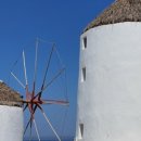 리틀미코노스1 이미지