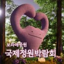 태전공원 벽천폭포 앞 | 보라매공원 국제정원박람회, 밤에 오면 더 좋은 이유?
