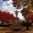 산들양푼갈비 | 제천 '베론성지, 교동민화마을, 의림지' ◀ 가을 산책로, 여행지 진짜 추천