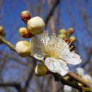 부암농장 이미지