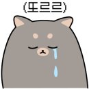 댄스인댄스파워