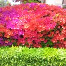 뜨락공원3 이미지