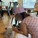 미가양꼬치 이미지