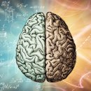 Fitness 6.3 이미지