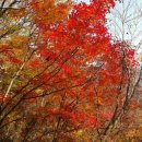 벽소령 펜션 이미지