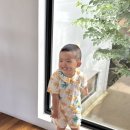 코코팜 | 모이몰른 25년 여름신상 휴가룩 추천 코코팜반팔상하