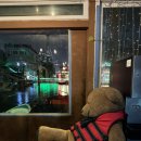 보매기길 이미지