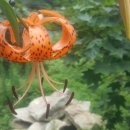 호구농장 이미지