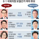 그냥 심심해서요. (14902) 미니총선 7곳 보선 이미지