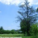 호당미술관 이미지