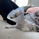 신안동12 이미지