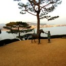 겨울의전설