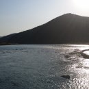 짬견지모음(3월에 밀양강~금강~밀양강) 이미지