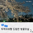 도림천 공중화장실 | 도림천 벚꽃 터널 위치 도림천역 벚꽃길 가는법 야경 산책 코스