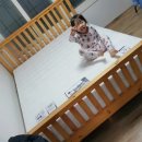 소나무기획 Daum카페