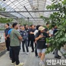 인천광역시 농업기술센터 이미지