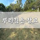 장성종합센터 | 장성군벌초대행 장성벌초대행 장성묘지이장 장성파묘