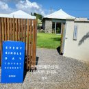 보성초 버스정류장 네이버블로그