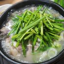 돌배야영장제1야영장 이미지