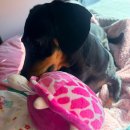 대남1 | [부산/해운대] 해운대에서 가장 맛있는 돼지갈비맛집 해운대맛집 대남생포갈비 또간집 후기