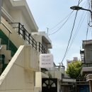 술람미 | W)부산 야외스냅 드레스 대여 드레스술람미 후기(+헤메,헬퍼)
