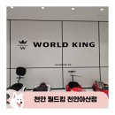 천안 키즈카페 월드킹 천안아산점 솔직후기