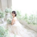 파리스라벨르엘린