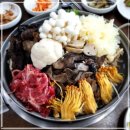 산들애