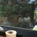 아리랑로37번길 1 네이버블로그