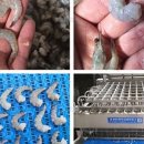 희망전자동 이미지