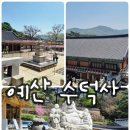 예산-37 | 예산 수덕사 벚꽃 구경 주차장 주변 맛집 추천