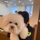 동그라개 이미지