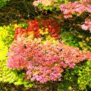 세종행정사 사무소 이미지