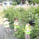 길음농장 이미지