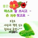 12월 8일 수요일ㅡ어저에 이어 ㅡ오늘도 포근한 ㅡ겨울 날씨입니다ㅡ 이미지