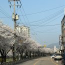 덕풍천서로 이미지