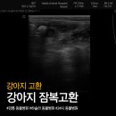 하슬라동물병원 이미지