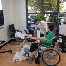 진도군보건소 이미지