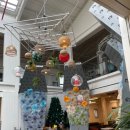 주차61 | 양주대형카페 하패리61 아이랑 가기 좋은 식물원 컨셉 베이커리카페 후기