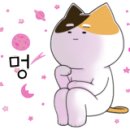 핑키앤브레인