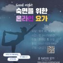 (온라인)요가 | Good night 😴요가(온라인) 후기